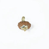 14 mukhi rudrax