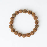 3 Mukhi Rudrax Bracelet