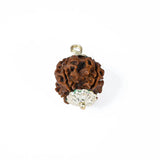 4 mukhi rudrax