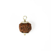 5 mukhi rudrax