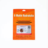 6 mukhi Rudrax