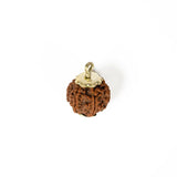 6 mukhi Rudrax