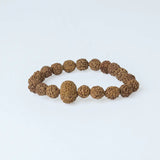 6 Mukhi Rudraksha Bracelet