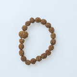 6 Mukhi Rudraksha Bracelet