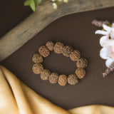 7 Mukhi Rudraksha Nepal Bracelet