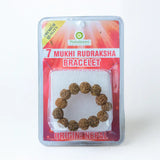7 Mukhi Rudraksha Nepal Bracelet