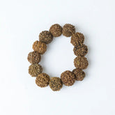 7 Mukhi Rudraksha Nepal Bracelet