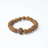 9 Mukhi Rudrax Bracelet