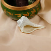 Dakshinavarti Sankh