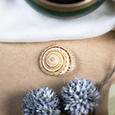 Vishnu Chakra Sankh