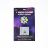 14 mukhi rudrax