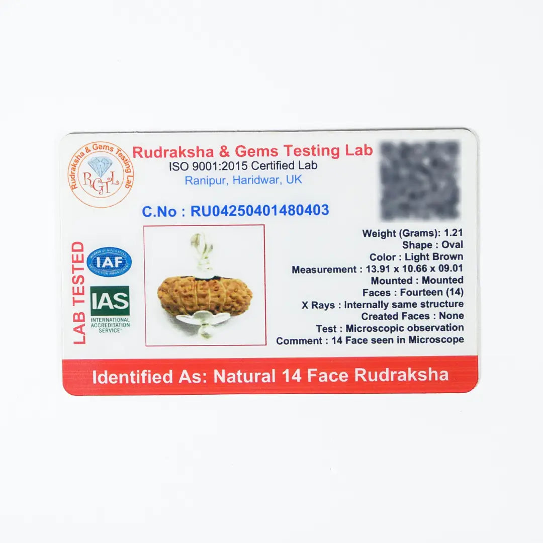 14 mukhi rudrax