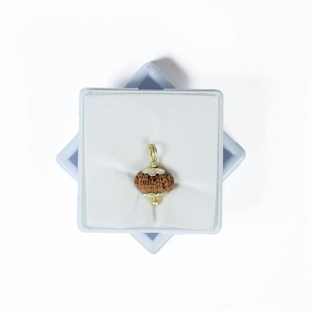 14 mukhi rudrax
