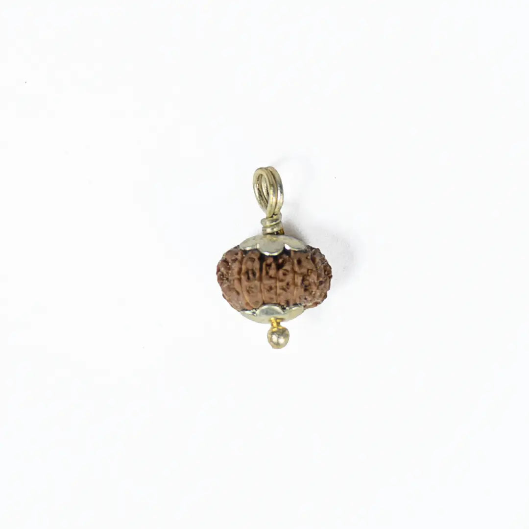 14 mukhi rudrax