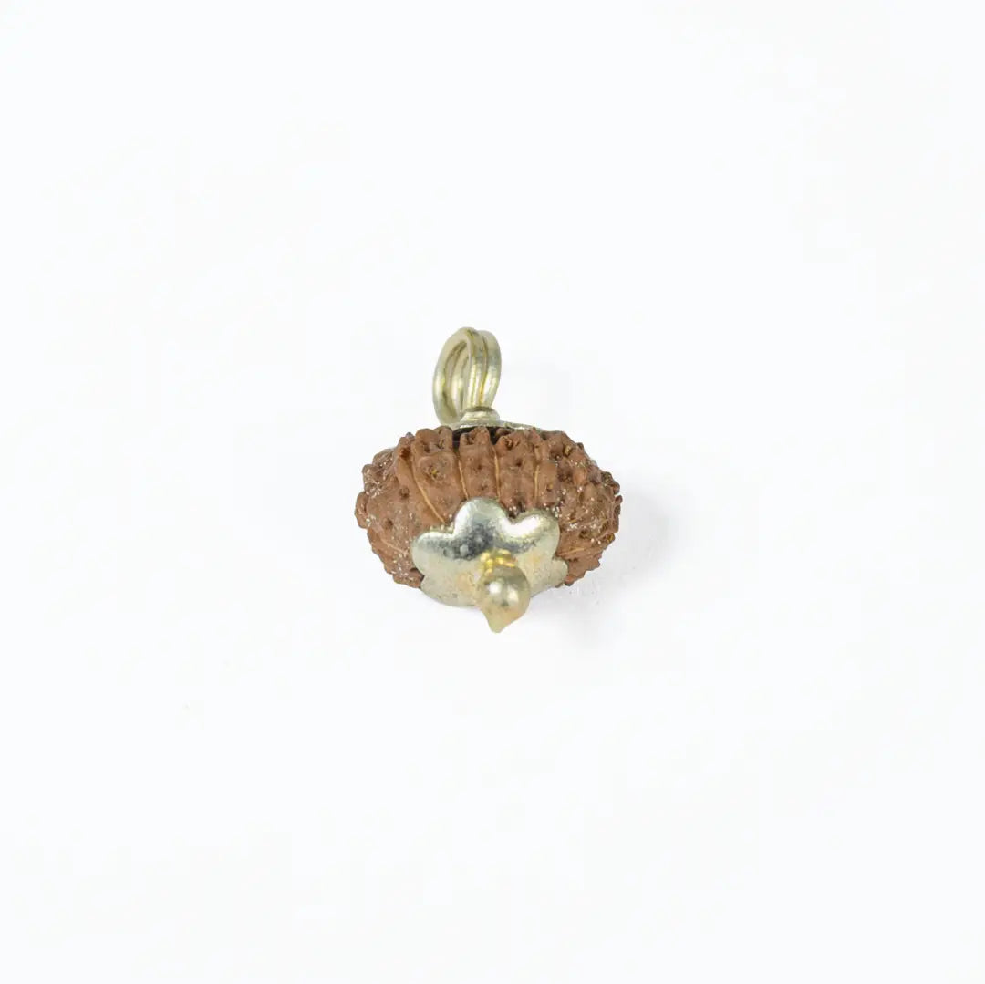 14 mukhi rudrax