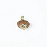 14 mukhi rudrax