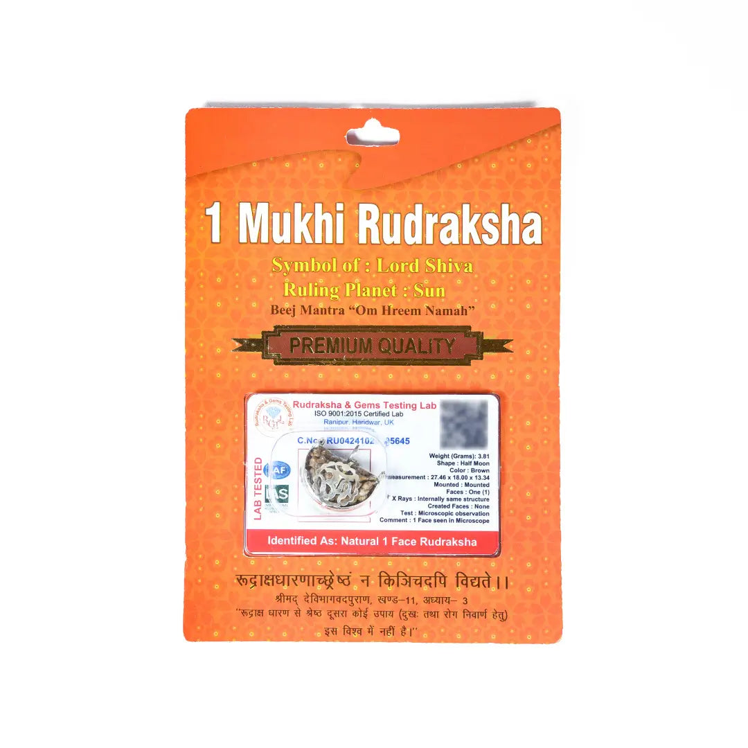 1 mukhi rudrax