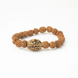 2  Mukhi Rudraksha Bracelet
