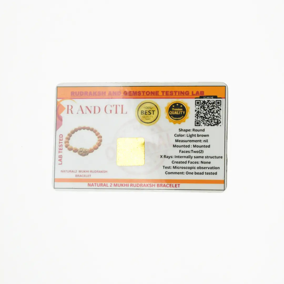 2  Mukhi Rudraksha Bracelet