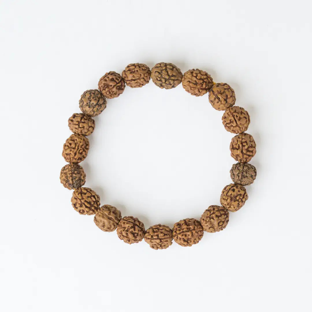 3 Mukhi Rudrax Bracelet