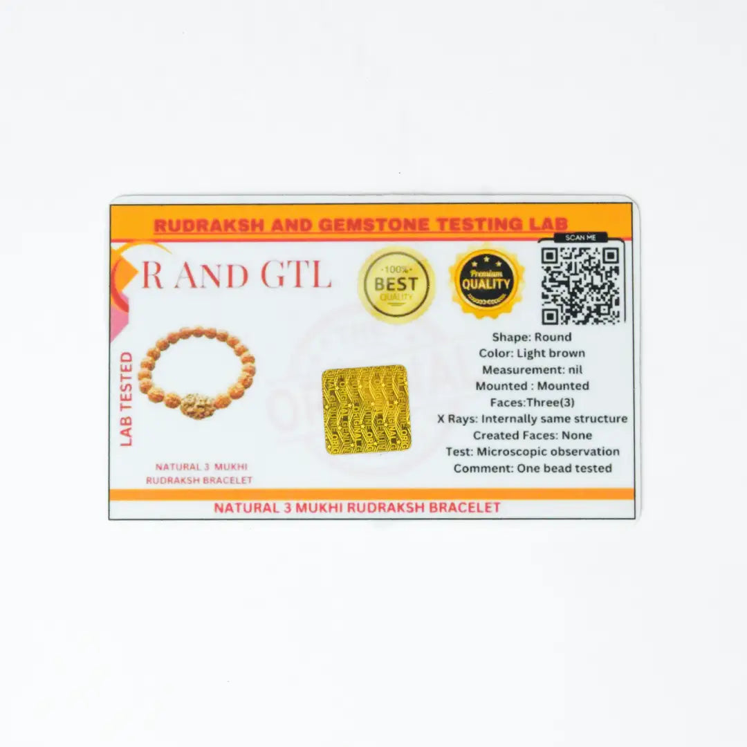 3 Mukhi Rudrax Bracelet