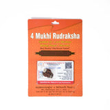 4 mukhi rudrax