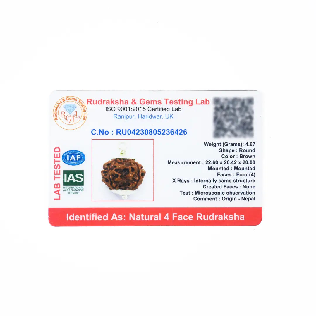 4 mukhi rudrax