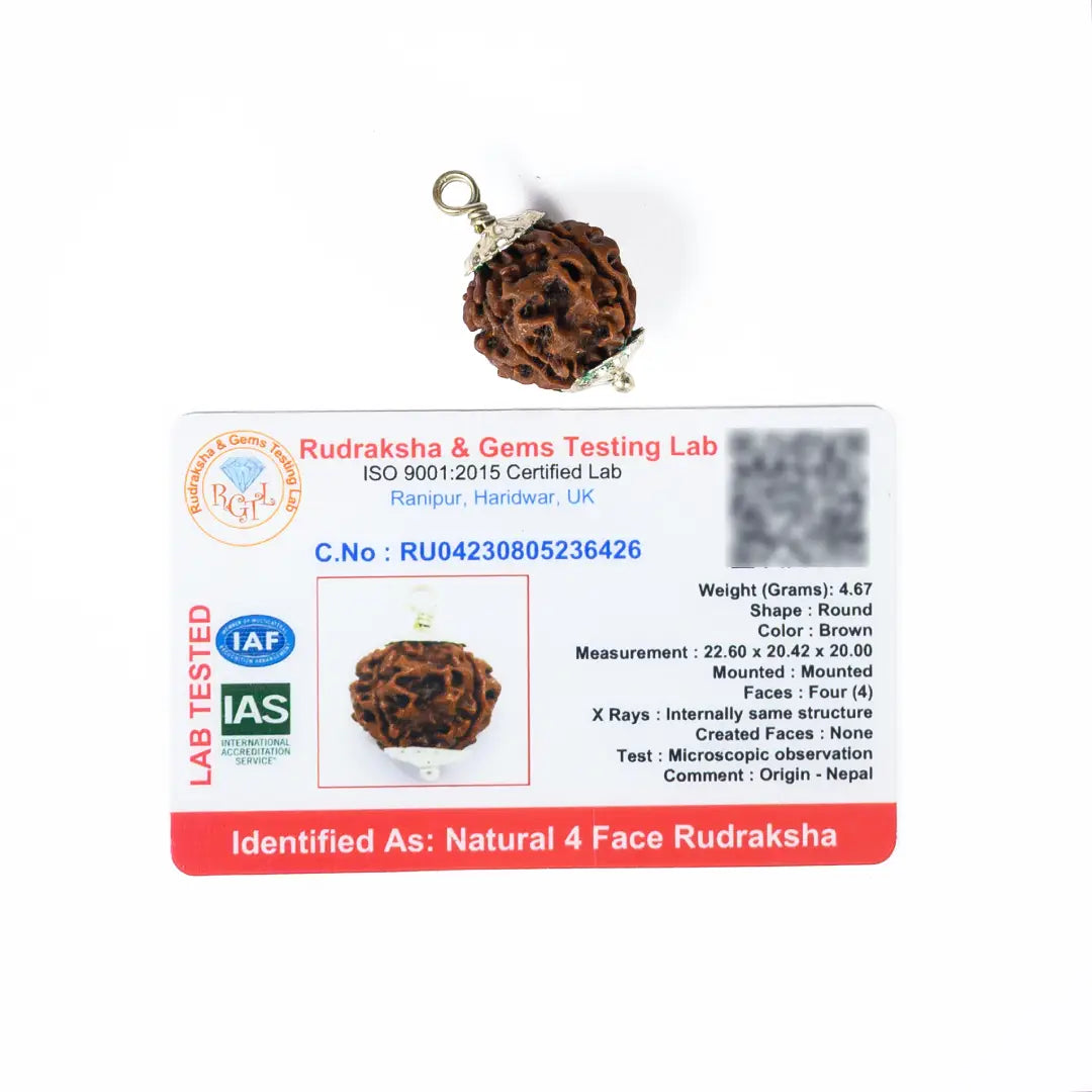 4 mukhi rudrax