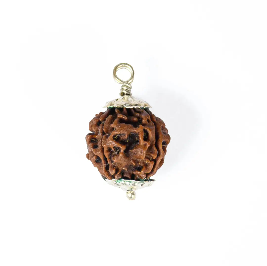 4 mukhi rudrax