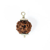 4 mukhi rudrax
