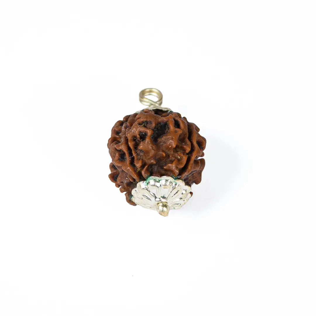 4 mukhi rudrax