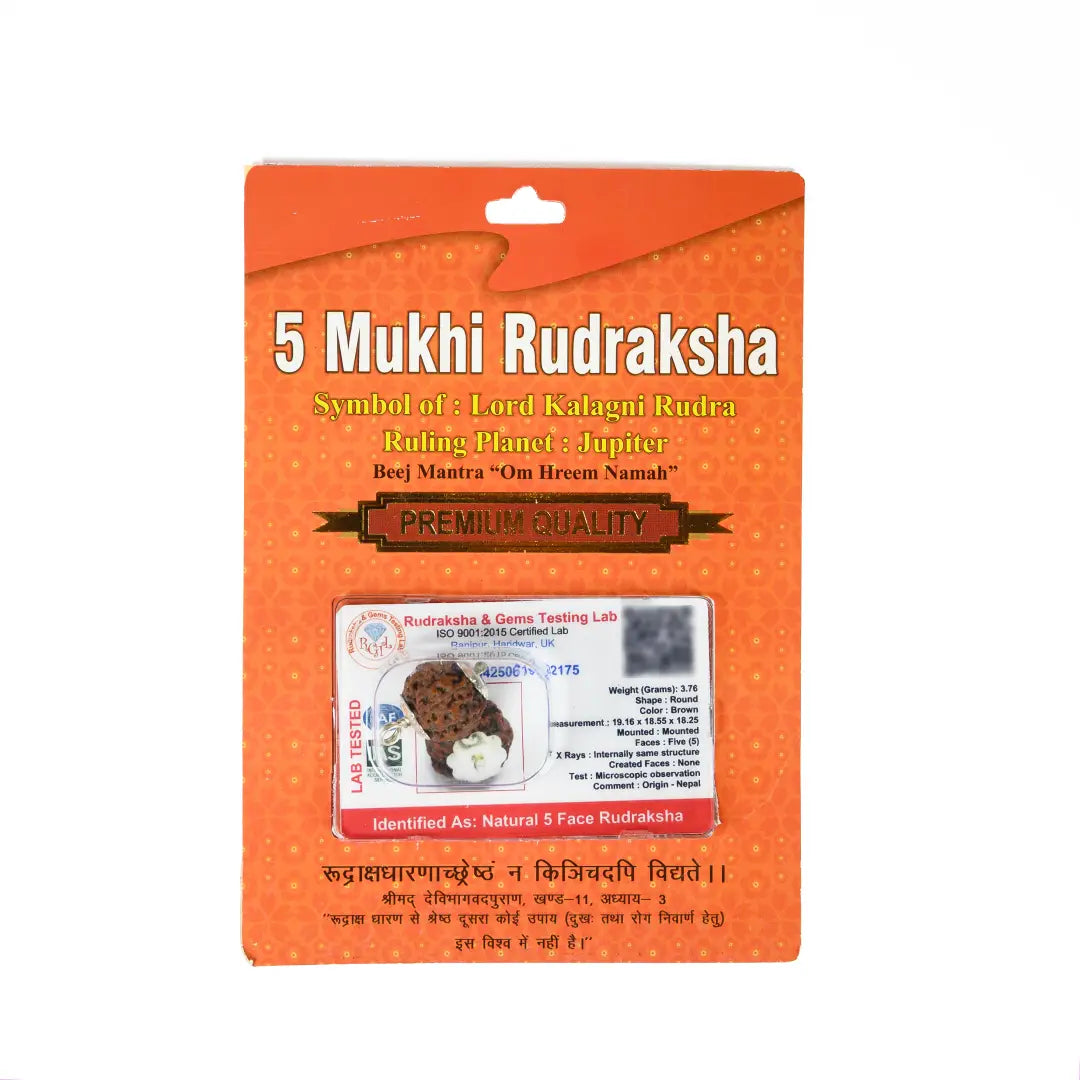 5 mukhi rudrax