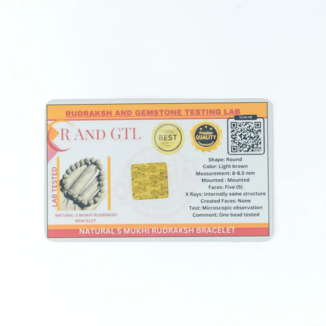 5  Mukhi Rudraksha Bracelet In Black