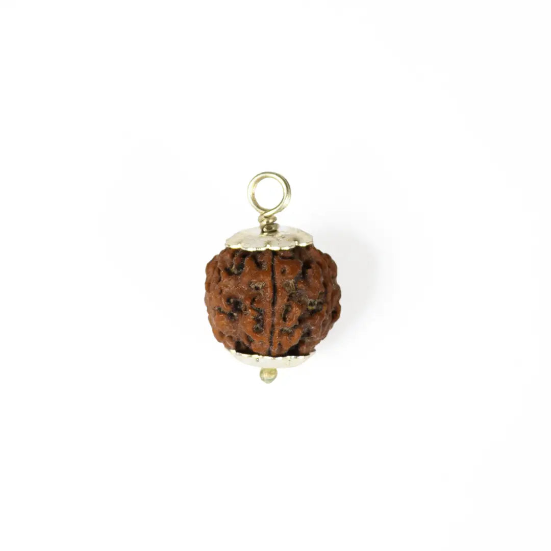 5 mukhi rudrax