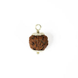5 mukhi rudrax
