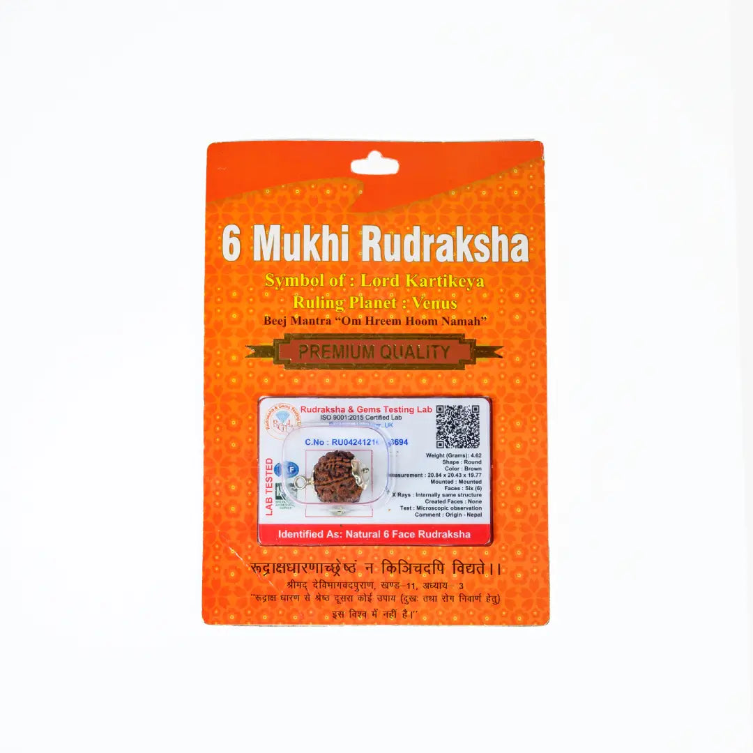 6 mukhi Rudrax