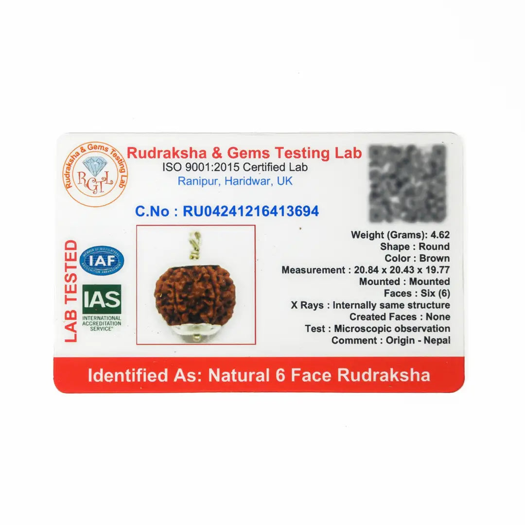 6 mukhi Rudrax