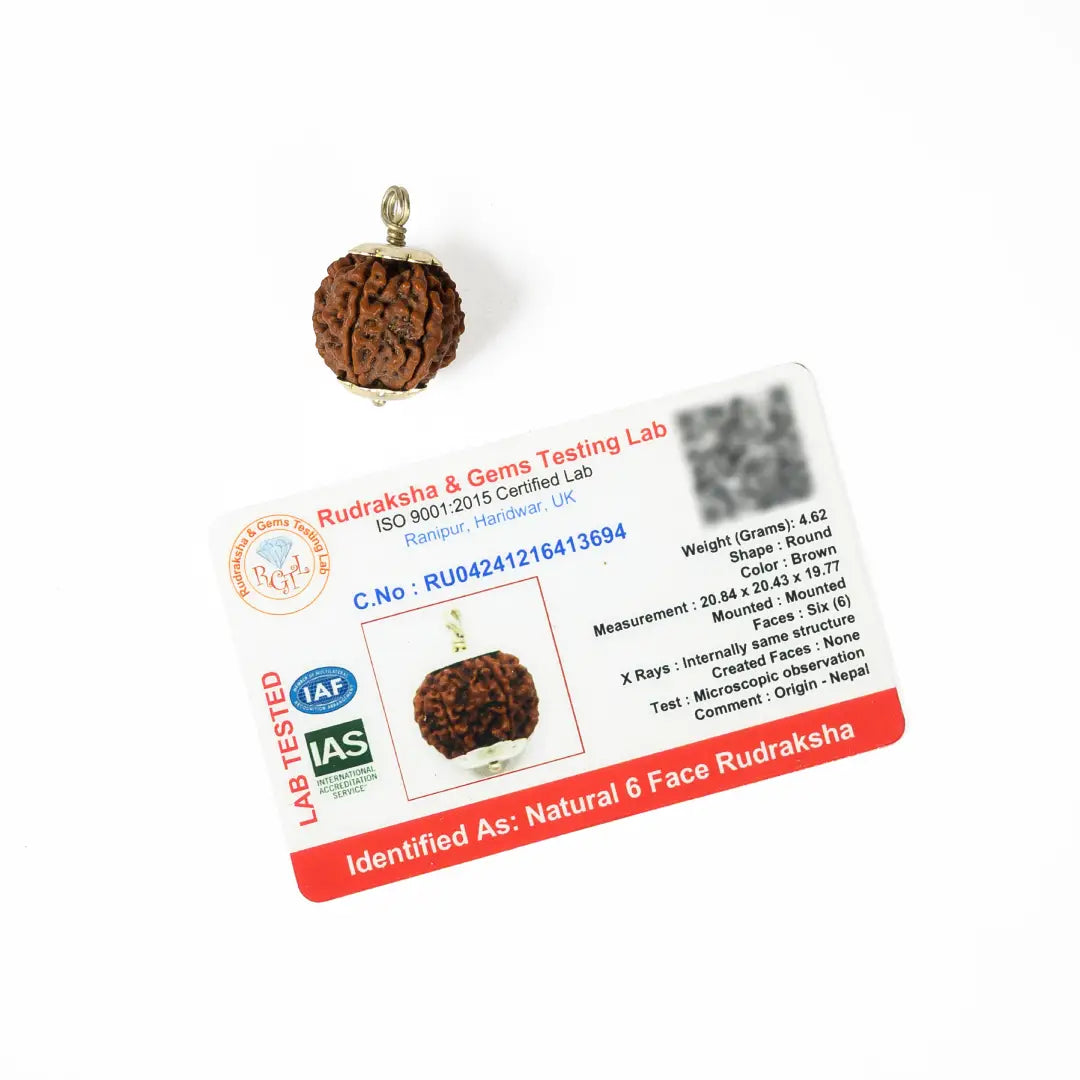 6 mukhi Rudrax