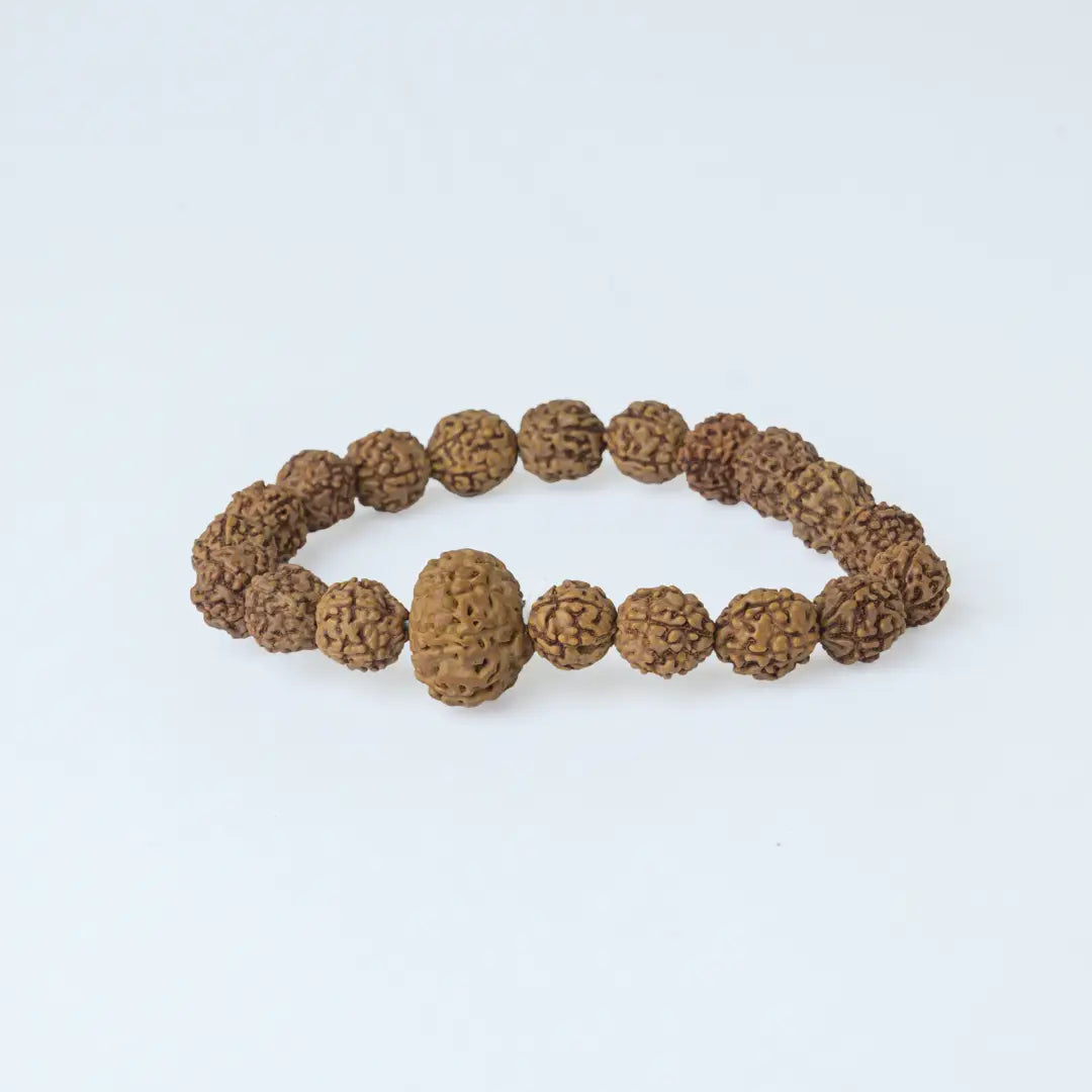 6 Mukhi Rudraksha Bracelet