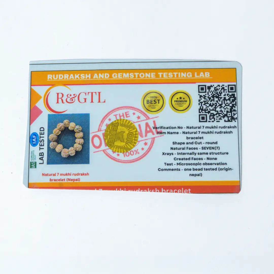 7 Mukhi Rudraksha Nepal Bracelet
