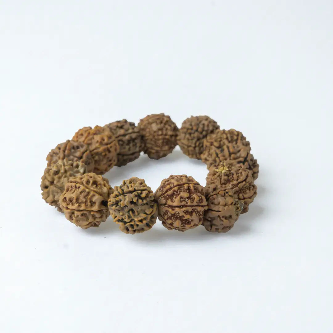 7 Mukhi Rudraksha Nepal Bracelet