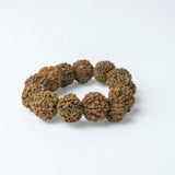 7 Mukhi Rudraksha Nepal Bracelet