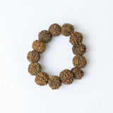 7 Mukhi Rudraksha Nepal Bracelet