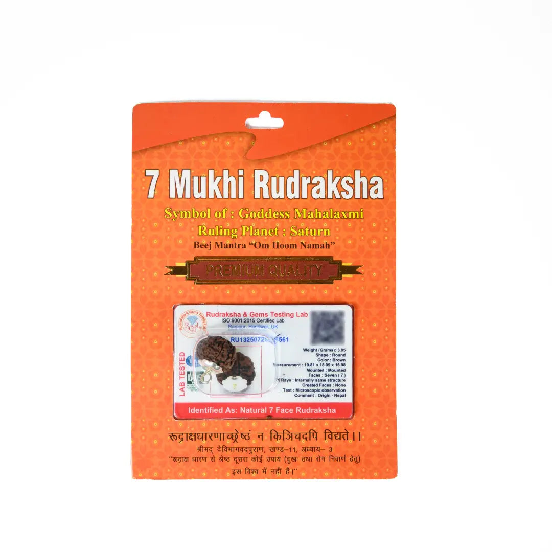 7 mukhi rudrax