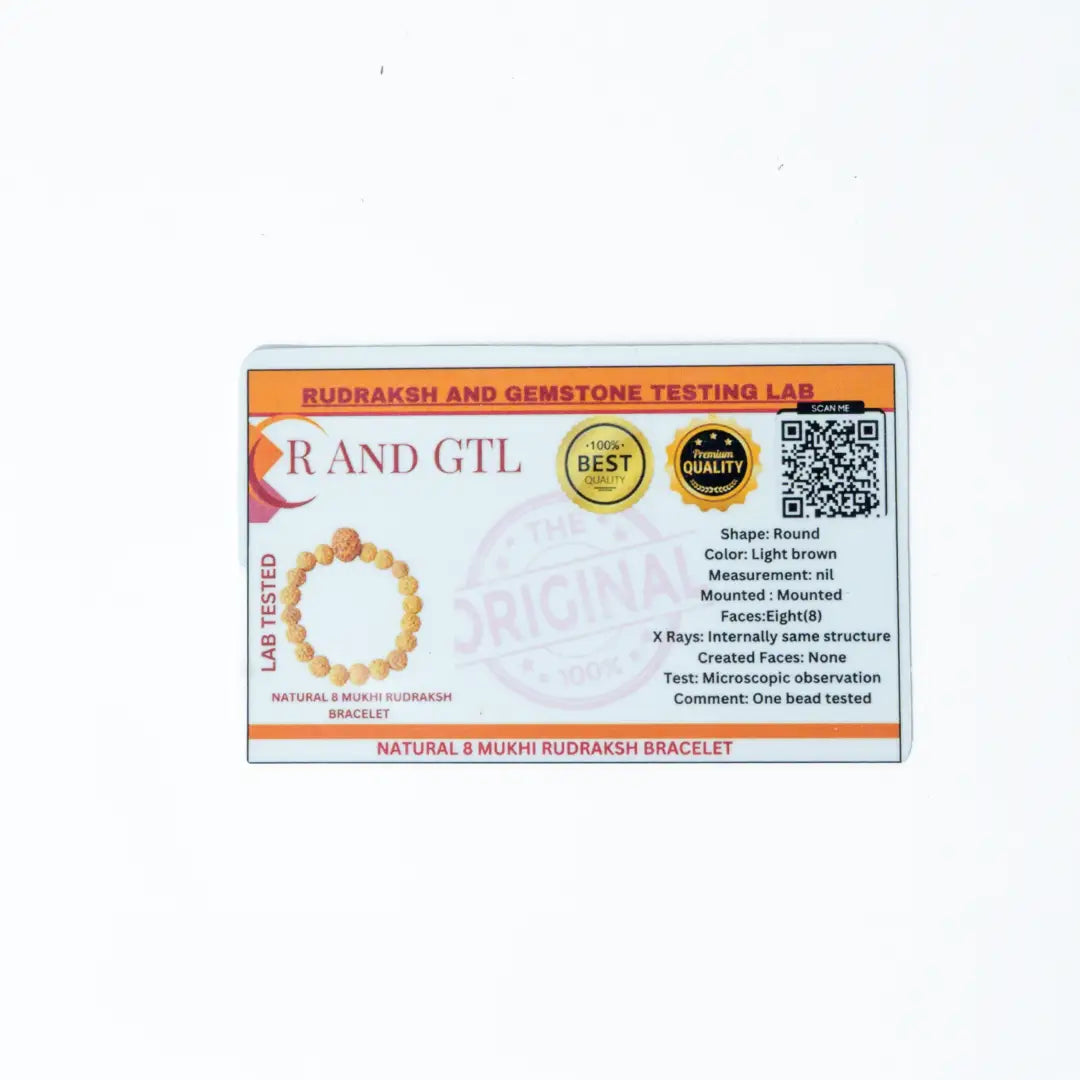 8 Mukhi Rudrax Bracelet