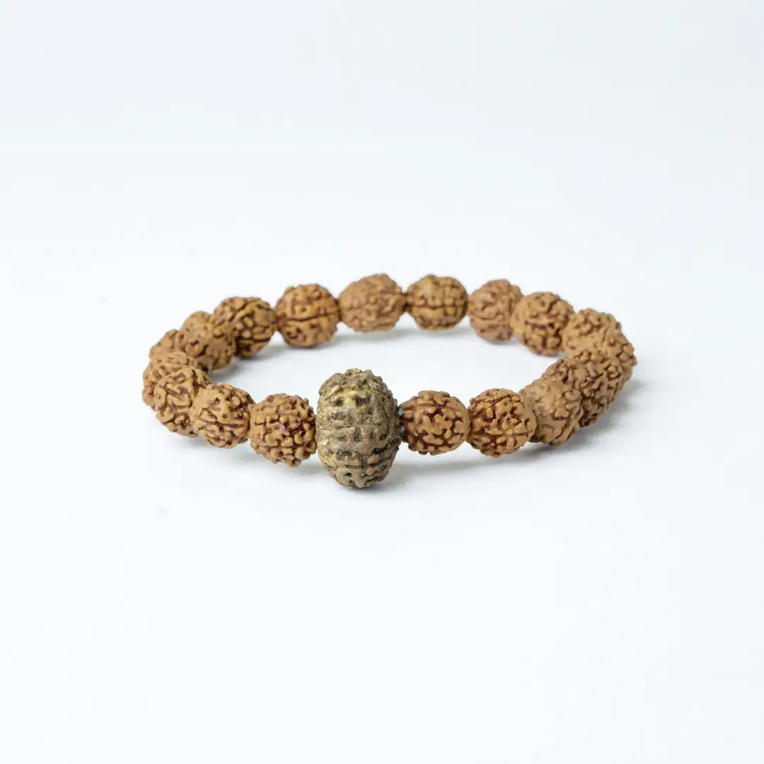 8 Mukhi Rudrax Bracelet