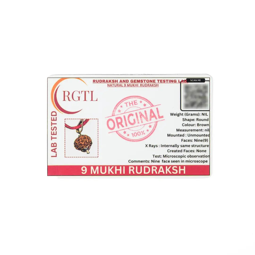 9 mukhi Rudrax