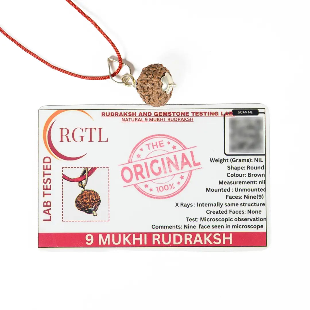 9 mukhi Rudrax