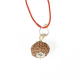 9 mukhi Rudrax