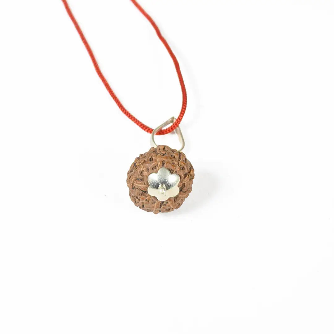 9 mukhi Rudrax